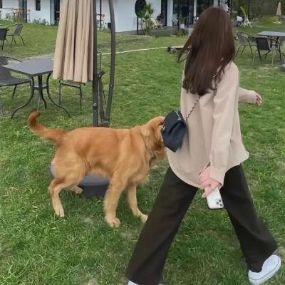 飞越长生